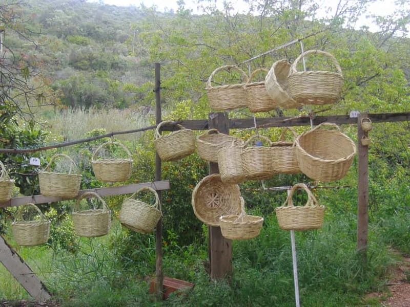Algarve: Flavors and Traditions Tour - São Brás de Alportel cork factory: from harvested bark to export