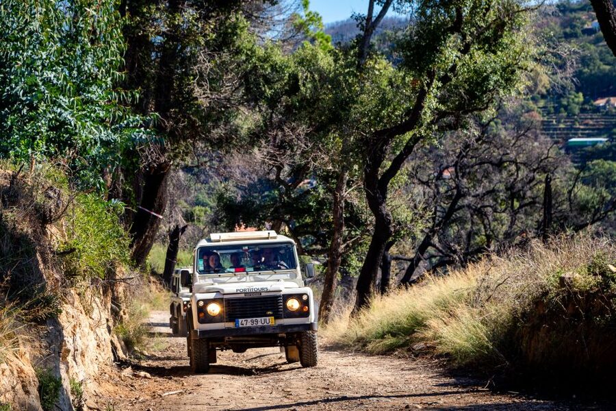 Algarve: Full-Day Boat and Jeep Tour - Who Should Book This (and Who Should Skip It)