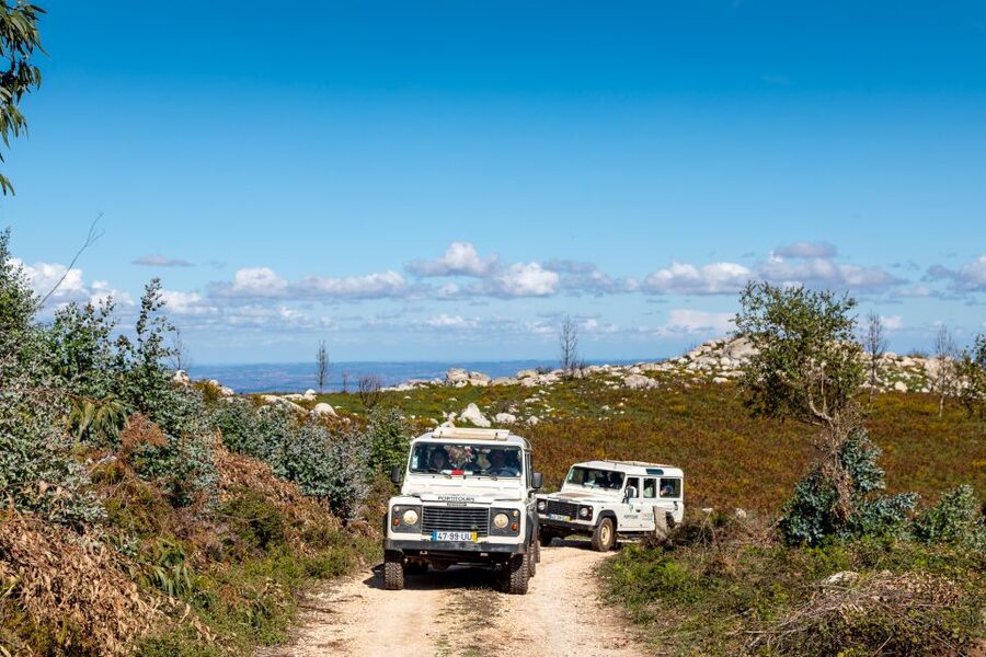 Algarve: Full-Day Guided Sightseeing Tour with Lunch - Key things I’d circle before you go