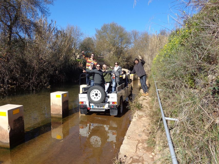 Algarve Full-Day Jeep Safari Tour with Lunch - Price and value: how $68 stacks up for a full day