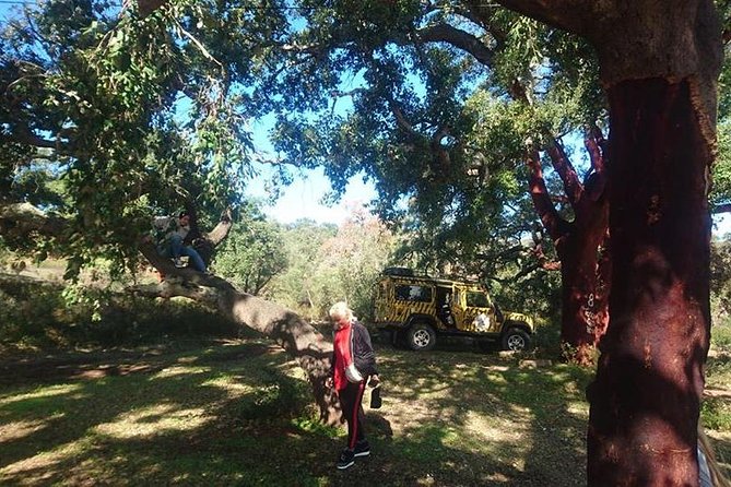 Algarve Half Day Jeep Safari (PRIVATE TOUR) - Meeting up in Albufeira and finding the right pickup point