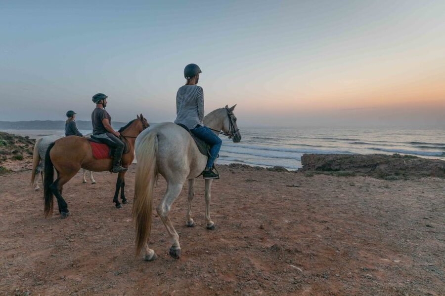Algarve: Horse Riding Beach Tour at Sunset or Morning - Why this ride feels special in Algarve