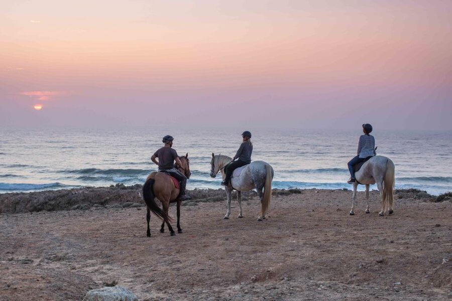 Algarve: Horse Riding Beach Tour at Sunset or Morning - Horses and guides: why people keep praising names like Bea, Nelson, and Nuno