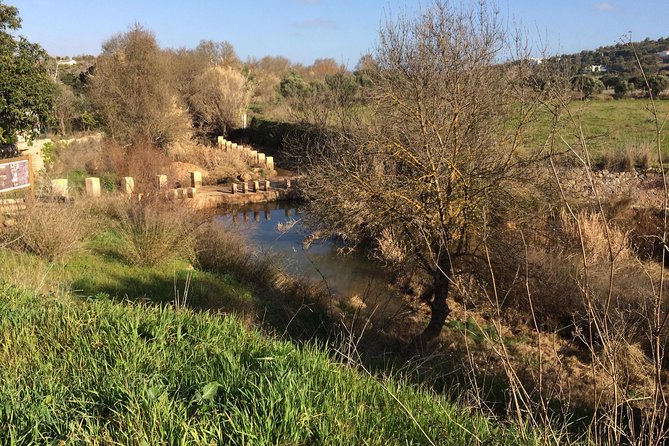 Algarve Jeep Safari - Day Trip - Goji farm in Paderne, herbs, spices, and Portuguese fire water