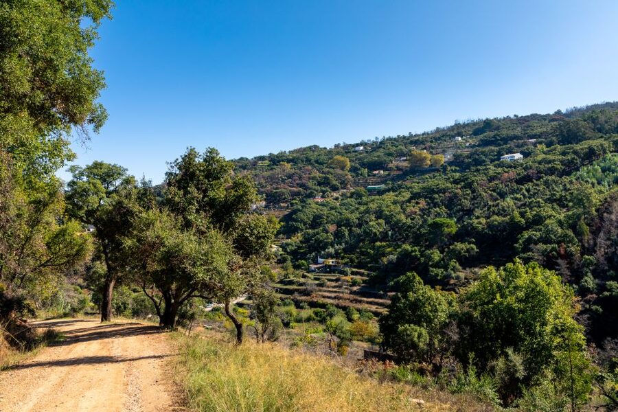 Algarve: Jeep Safari with Distillery Visit & Lunch - Lunch at a Rural Restaurant: Hearty, Local, and Usually More Than You Expect