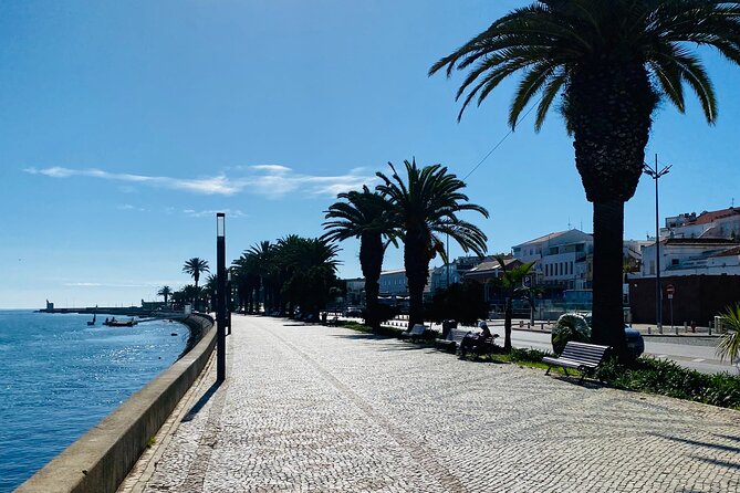 Algarve: Lagos Sightseeing guided Tour with e-bikes - The Lagos Golden Coast is made for e-bikes