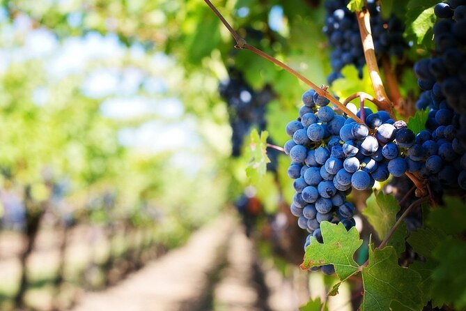 Algarve Landscapes & Winery - Algar Seco Cliffs: Short Time, Strong Photo Opportunities