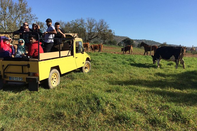 Algarve Mountains & Villages - Half Day Jeep Safari Trip - Key Highlights You Should Not Miss