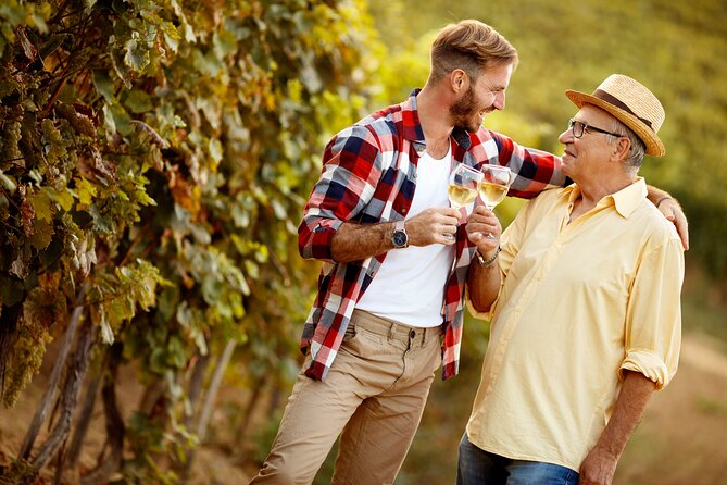Algarve Portugal Wine Tasting Activity with Pick Up - Lunch and tastings: what is included, what is not, and how to budget