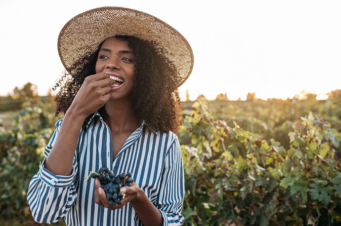 Algarve Portugal Wine Tasting Activity with Pick Up - Who this tour suits best, and who should skip it