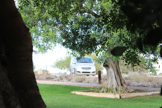 Algarve Private Tour - Key highlights