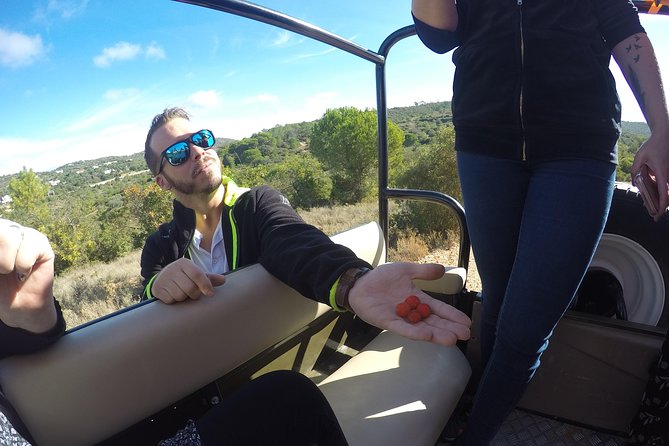 Algarve Safari - Full Day Tour from Albufeira w / lunch - The lunch is a real reason this tour sells out