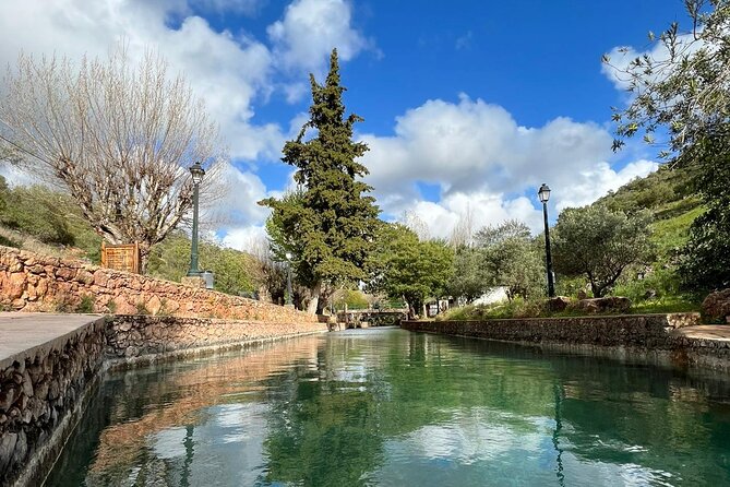 Algarve Safari - Half Day from Albufeira - Timing, transportation, and how to be comfortable for the ride