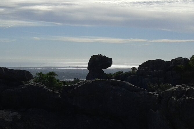 Algarve Summer Night Hike - Biodiversity and endemic plants: what you’re really learning