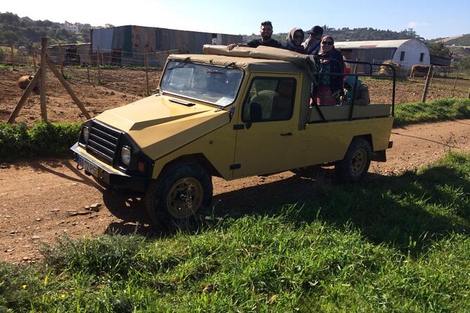 Algarve Sunset Experience - Half Day Jeep Safari Trip - Alte Village Core: Pastéis de Nata and a Real Algarve Feel