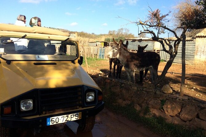 Algarve Sunset Experience - Half Day Jeep Safari Trip - Paderne Goji Farm Stop: Herbs, Animals, and Portuguese Fire Water