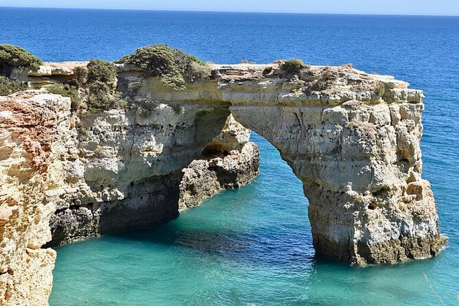Algarve to Lisbon One Way Trip Up to 4 Stops - Key Highlights to Know Before You Go