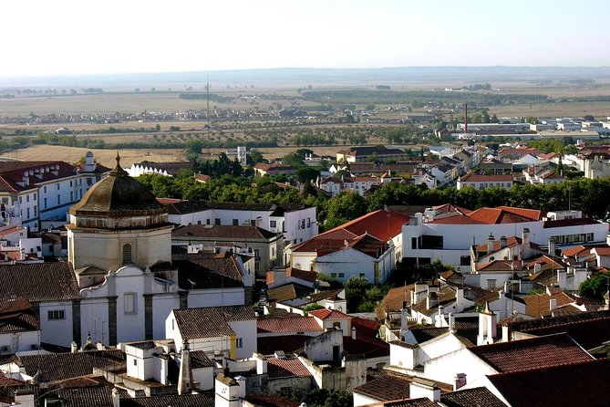 Algarve to Lisbon with stop at Évora, Bones Chapel and Cork factory - Key highlights that make this transfer worth it