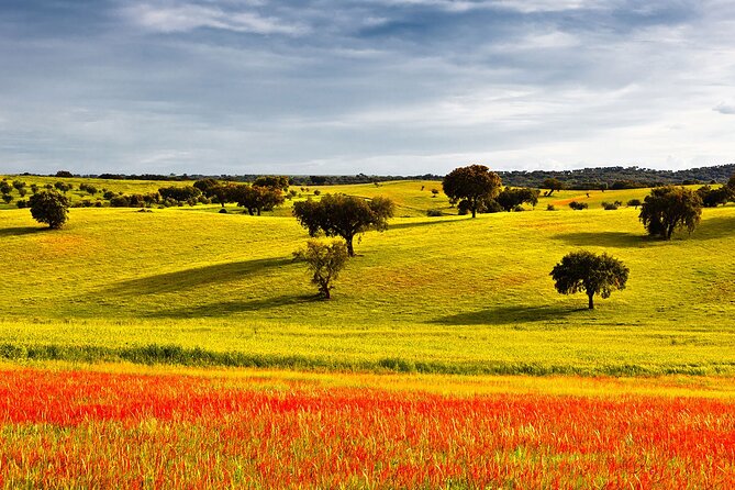 Algarve to Lisbon with stop at Évora, Bones Chapel and Cork factory - From Algarve to Lisbon without the stress of transfers