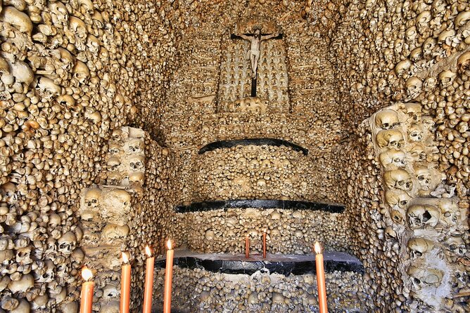 Algarve to Lisbon with stop at Évora, Bones Chapel and Cork factory - Corticarte cork factory: why cork oak matters in Portugal