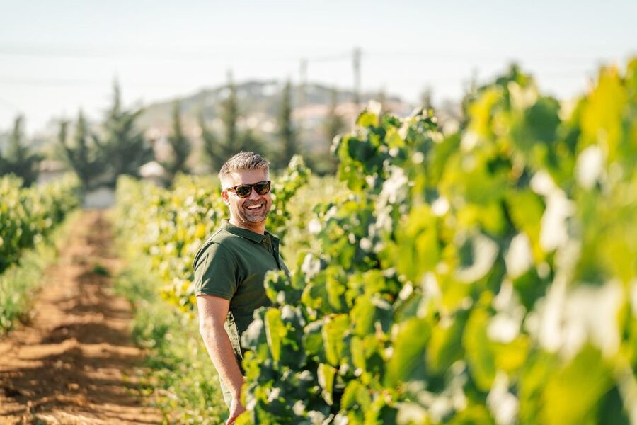 Algarve: Vineyard Tour & Premium Wine Tasting in Silves - Silves Vineyard Views, With Cabrita Wines at the Center