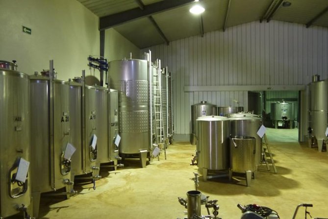 Algarve wine tour and farmer's lunch at wine estate - Algarve wine country, guided by Fábio and a small-group vibe