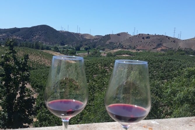 Algarve wine tour and farmer's lunch at wine estate - Stop 1 Quinta Do Frances Winery: your baseline for the day