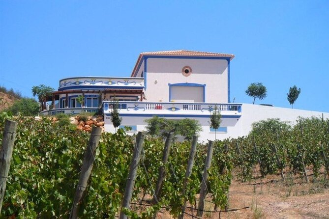Algarve wine tour and farmer's lunch at wine estate - Wine tastings and varietals: how to get more from each sip