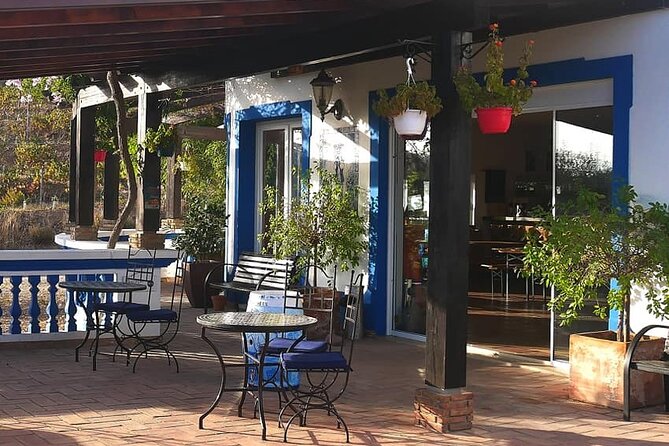 Algarve wine tour and farmer's lunch at wine estate - Price and value: what $208.20 really covers