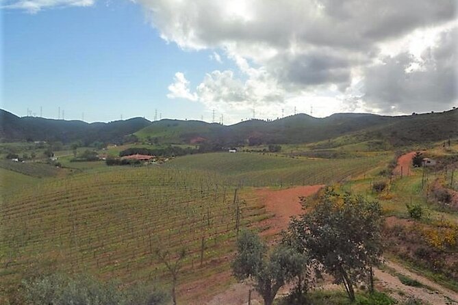 Algarve wine tour and farmer's lunch at wine estate - Stop 2 Morgado do Quintão or Quinta dos Santos: the farmer’s lunch moment