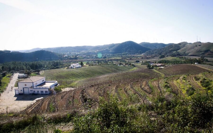 Algarve wine tour and mountain top trip with lunch or dinner - How this half-day is paced, from pickup to the summit