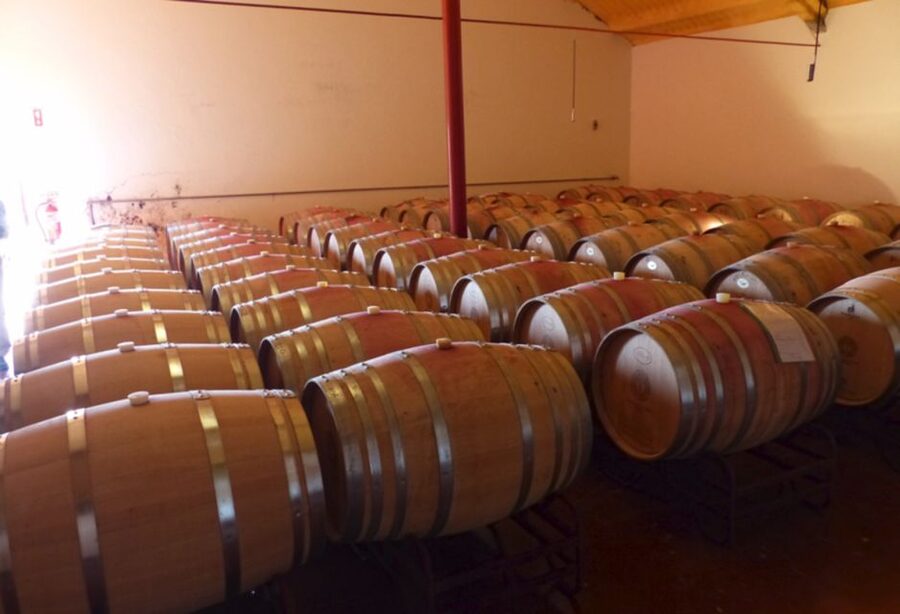 Algarve wine tour and mountain top trip with lunch or dinner - Wine tasting skills you can use again at home
