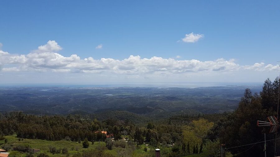 Algarve wine tour and mountain top trip with lunch or dinner - Should you book this Algarve wine and Monchique mountain tour?