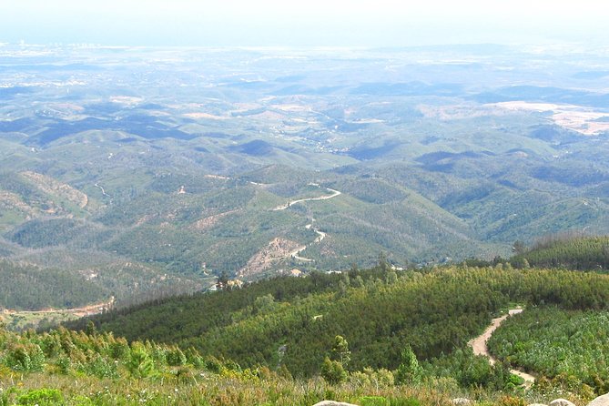 Algarve wine tour and mountain top trip with lunch or dinner at sunset time - Why this Algarve wine and Monchique combo works