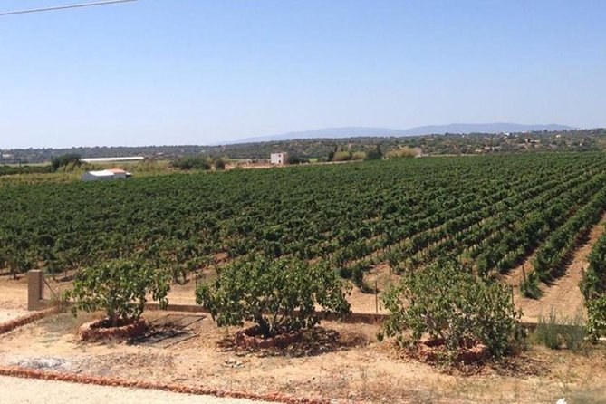 Algarve wine tour and mountain top trip with lunch or dinner at sunset time - Premium tasting upgrade: when it’s a smart add-on