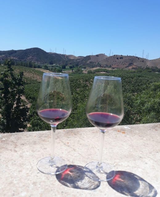 Algarve Wine Tour of two estates guided by wine expert - Key Highlights You’ll Actually Feel During the Tour