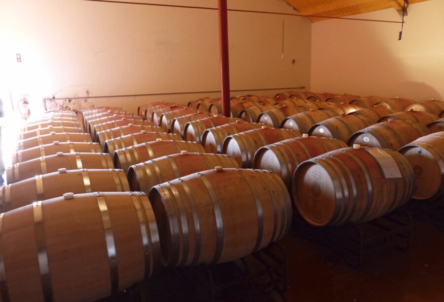 Algarve Wine Tour of two estates guided by wine expert - Portimão Pickup and a 3.5-Hour Plan That Respects Your Day