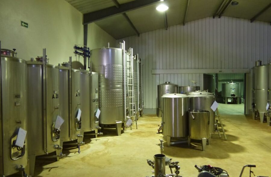Algarve Wine Tour of two estates guided by wine expert - Second Estate Stop: Wood, Blending, and Another 3-Wine Round