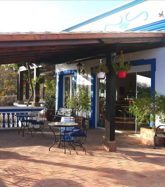 Algarve Wine Tour of two estates guided by wine expert - Understanding the Full Wine-Making Chain (So Your Taste Notes Make Sense)
