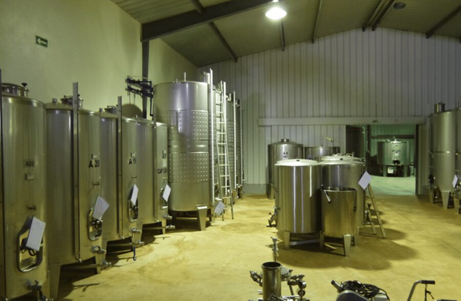 Algarve Wine Tour of two estates guided by wine expert - Who Should Book This Algarve Wine Tour (and Who Might Want Something Different)