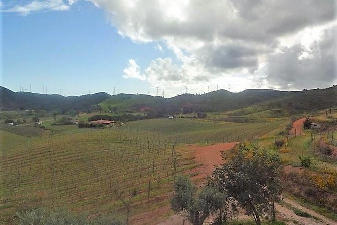 Algarve Wine Tour of Two Wine Estates - Stop 2 at Quinta do Frances: Bordeaux Roots at the Start of Monchique