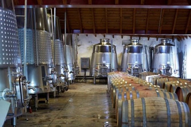 Algarve Wine Tour of Two Wine Estates - The Tasting Flow, Optional Extras, and How to Stay Comfortable