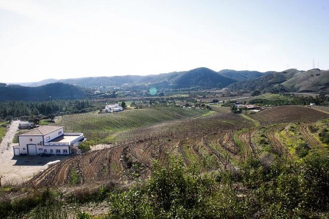 Algarve Wine Tour of Two Wine Estates - Pickup in Portimão, Then a Comfortable Escape Into the Vines