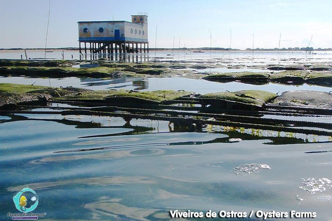 All Day Route in Fuseta - The 10:30 am to 7-hour rhythm on the water