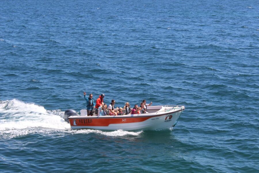 Armação de Pêra: Guided Boat Tour of Benagil's 15 Best Caves - The crew dynamic: how the captain and guide work as a team