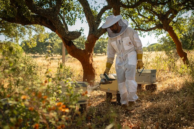 Beekeeping, nature and tradition - Key highlights you should care about