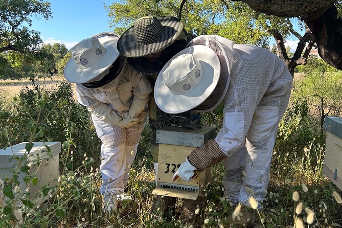 Beekeeping, nature and tradition - Why beekeeping in Albufeira feels like Algarve tradition you can see