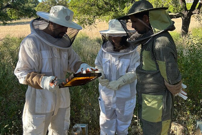 Beekeeping, nature and tradition - Honey tasting in the Algarve: what to notice beyond sweetness