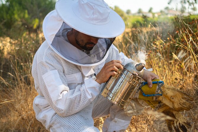 Beekeeping, nature and tradition - Should you book Beekeeping Algarve Experience?