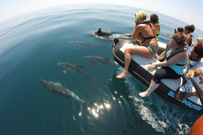 Benagil Caves and Dolphins from Albufeira - Benagil Caves: Close-By Views and the Photo-Mindset